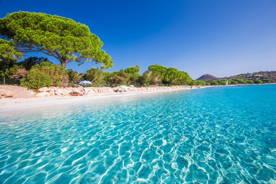 Plages et criques du Sud Corse